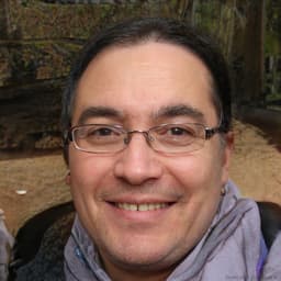 Luis Navarro